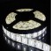 BOBINA STRISCIA 300 LED SMD 5630 5METRI 12V LUCE BIANCO FREDDO 
