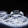 BOBINA STRISCIA 300 LED SMD 5050 5METRI 12V LUCE BIANCO FREDDO